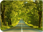 route