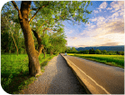 route